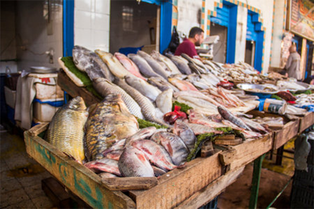 Fish Market Cadaques